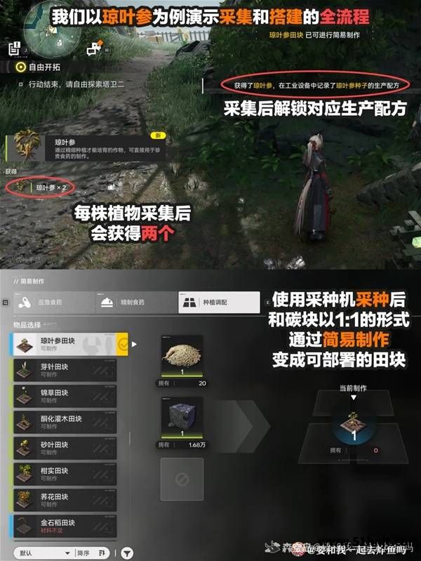 明日方舟终末地琼叶参种植和料理材料准备方法