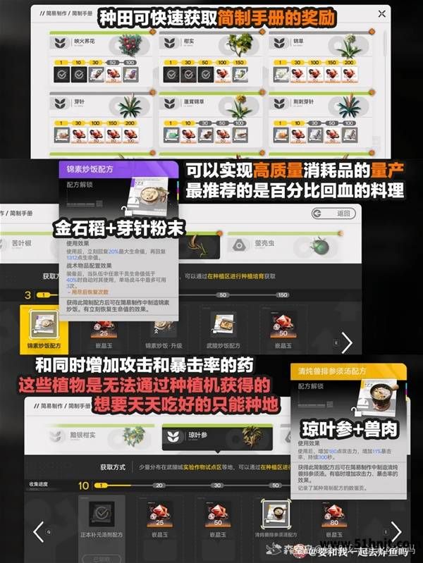 明日方舟终末地哪些食物好用-食谱性价比及强力料理推荐