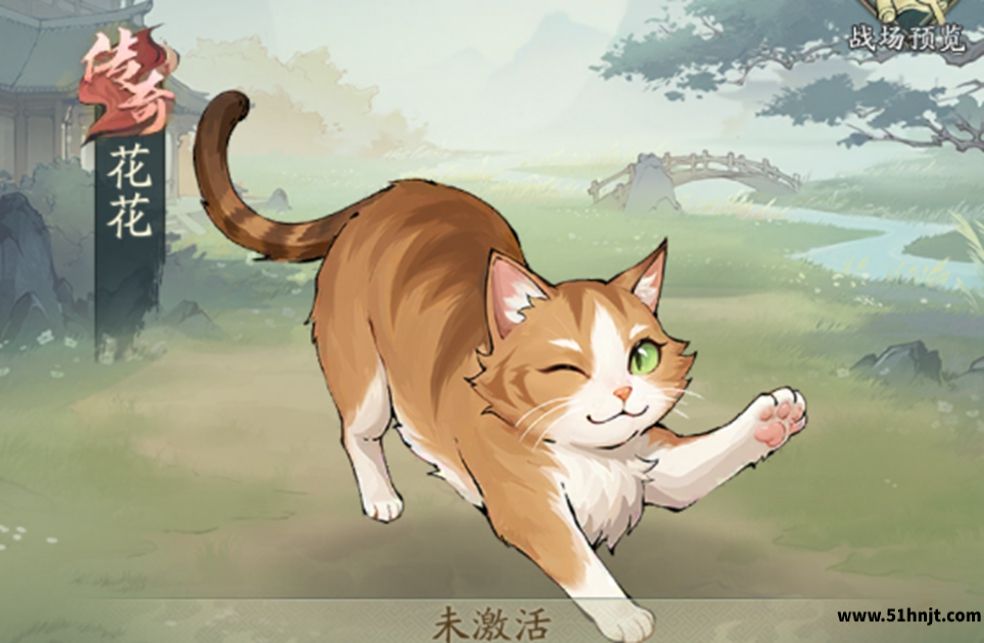 自在江湖花花宠物