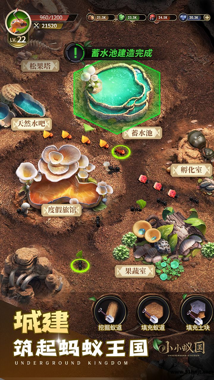 小小蚁国游戏截图