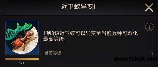 小小蚁国基础战斗兵蚁异变进化