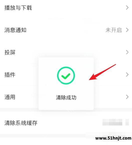 爱奇艺系统缓存清除成功提示