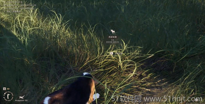 狩猎之道2猎犬在草地中发现并提示动物踪迹