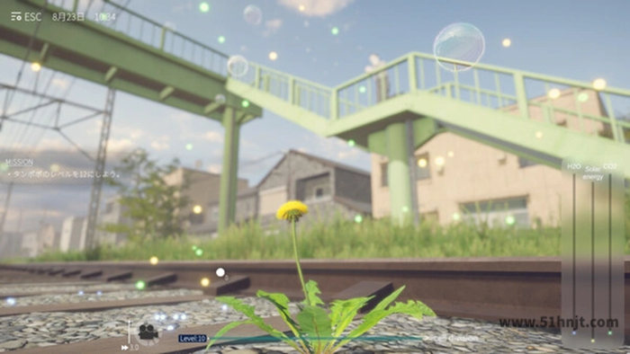 蒲公英不屈 铁轨边生长中的蒲公英与资源条