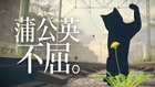 蒲公英不屈