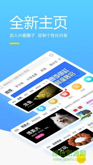 龙巅兴趣联盟