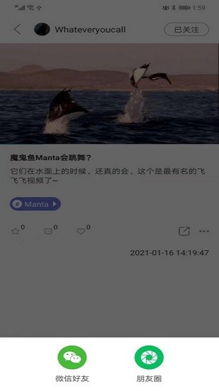 潜水指南moredive手机版