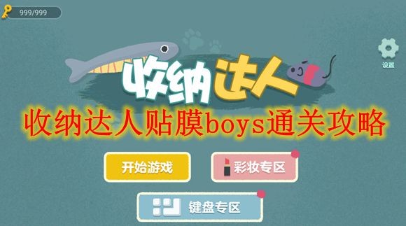 收纳达人贴膜boys