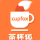 foxcup茶杯狐