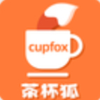 茶杯狐cupfox